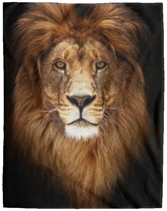 PREMIUM LION HEAD BLANKET